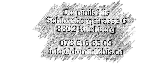 Dominik His, 8802 Kilchberg, 078 616 65 09